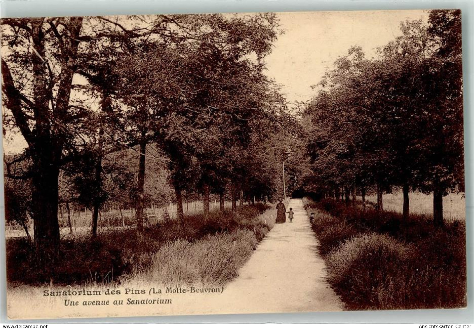 39481118 - Lamotte-Beuvron