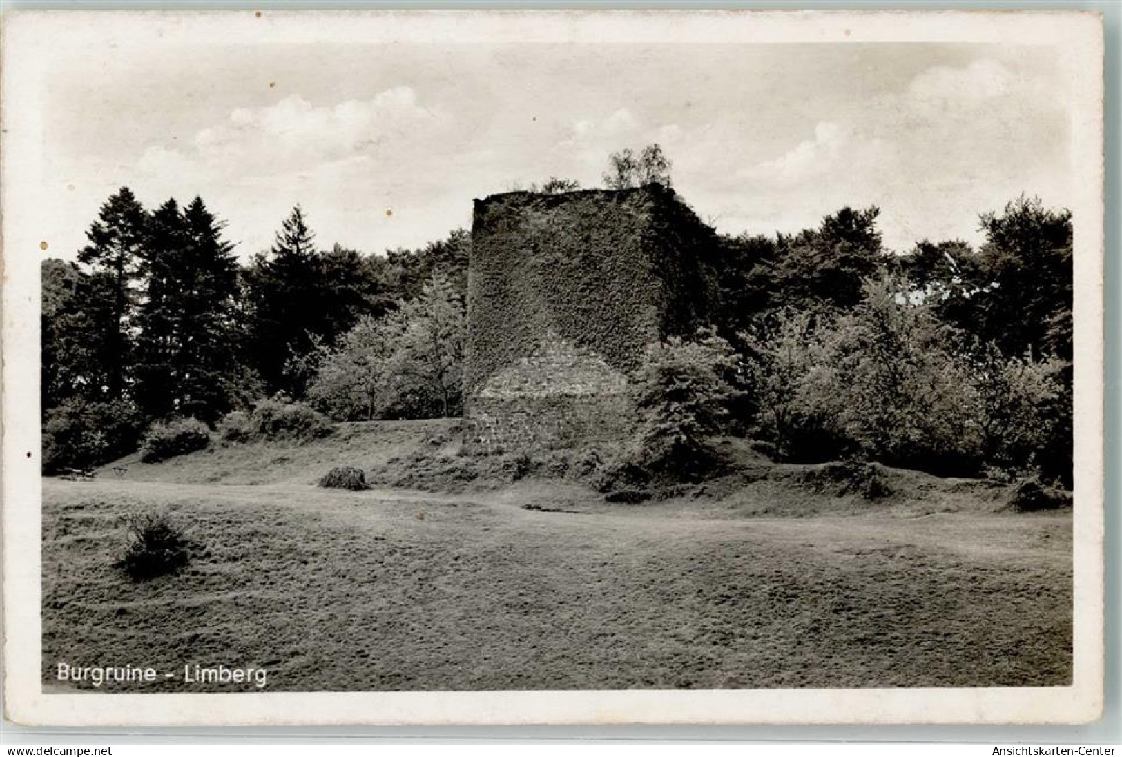 39486944 - Boerninghausen