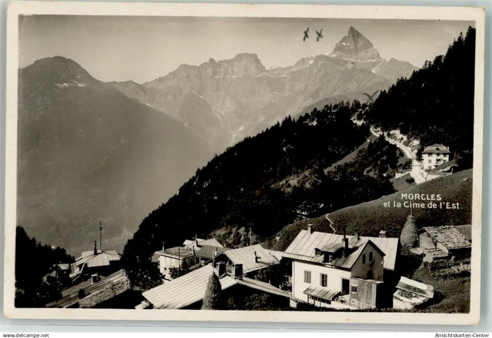 39499454 - Morcles