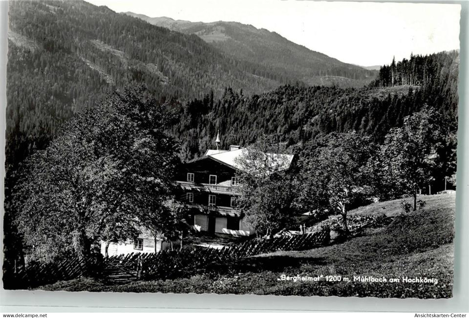 39500454 - Muehlbach am Hochkoenig