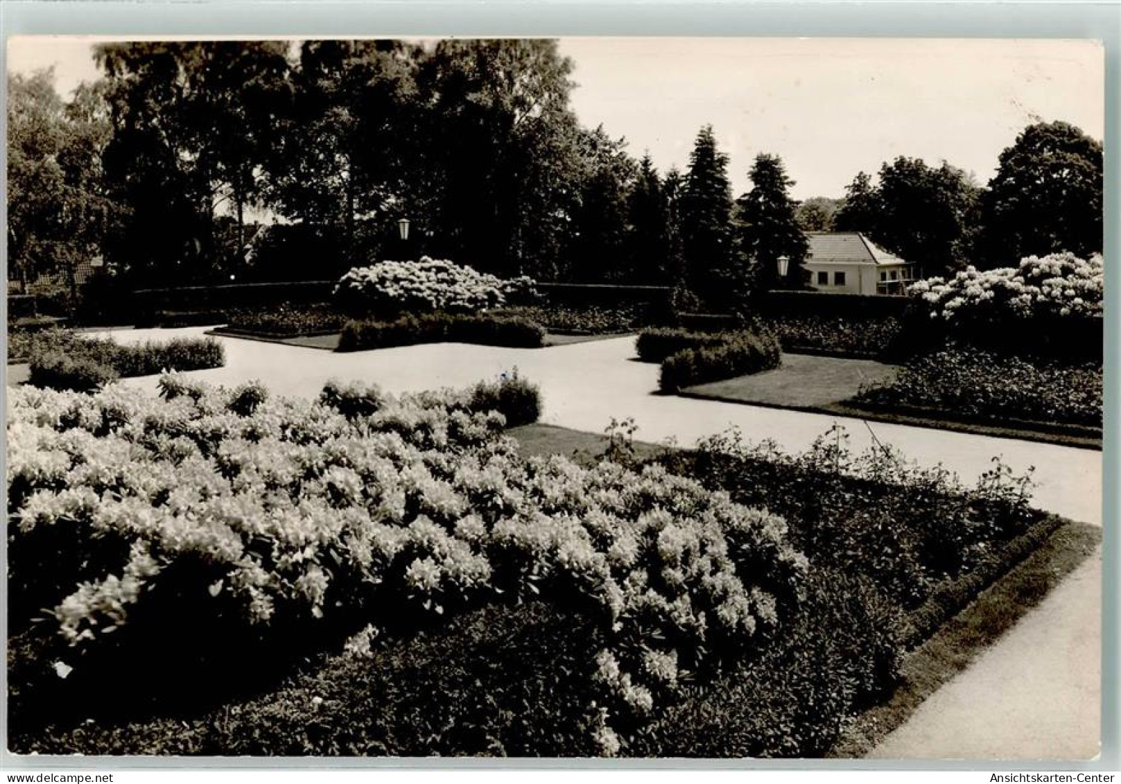 39513570 - Bad Meinberg