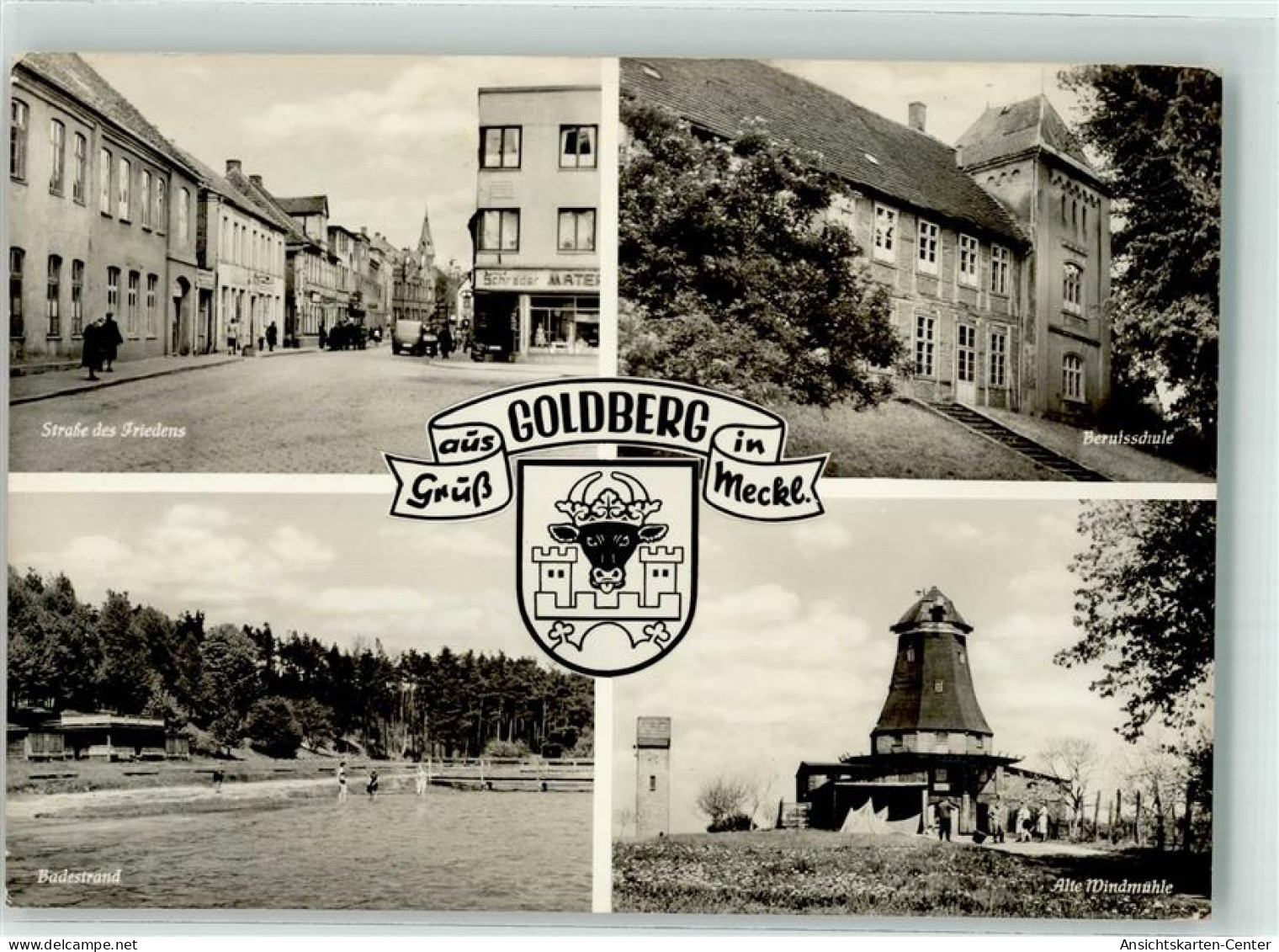 39520519 - Goldberg , Meckl