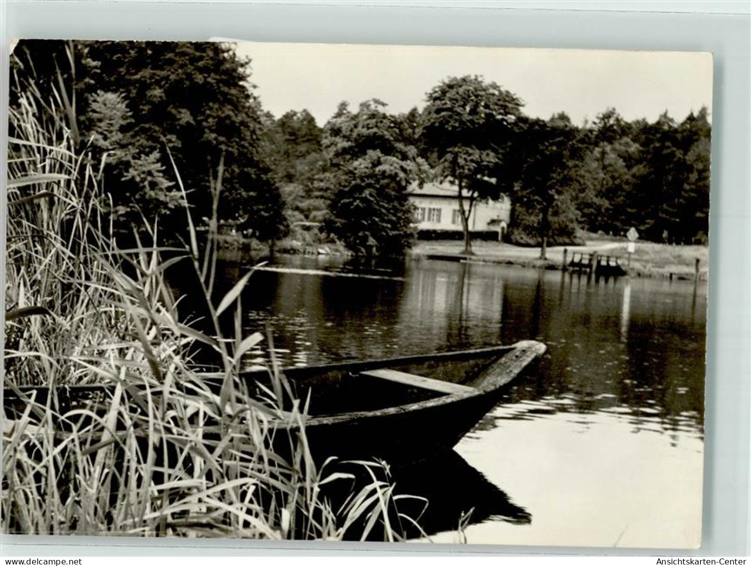 39521666 - Eichhorst b Eberswalde