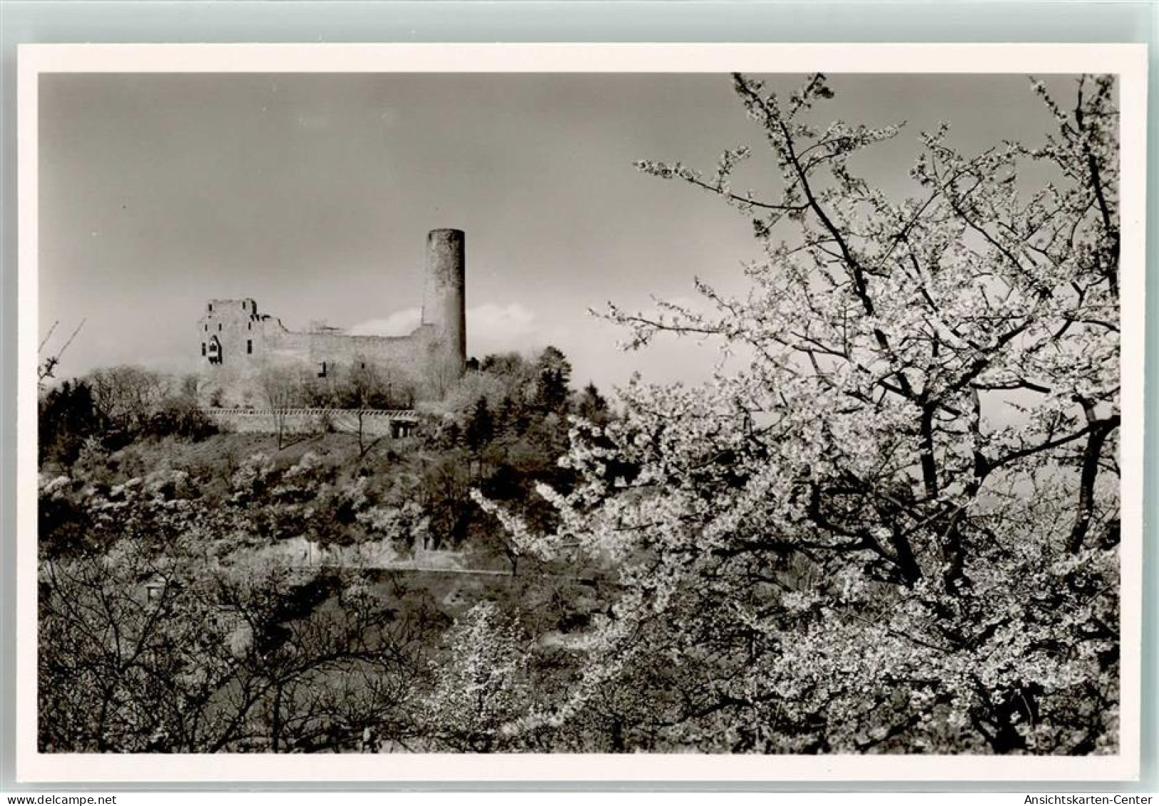 39524725 - Weinheim , Bergstr