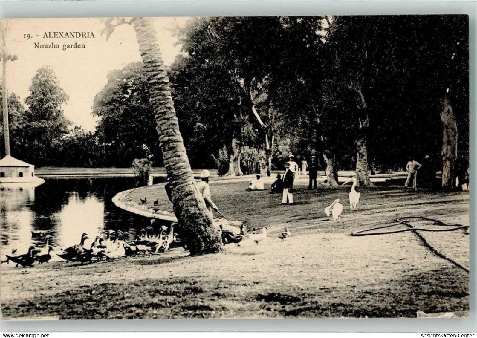 39538087 - Alexandria