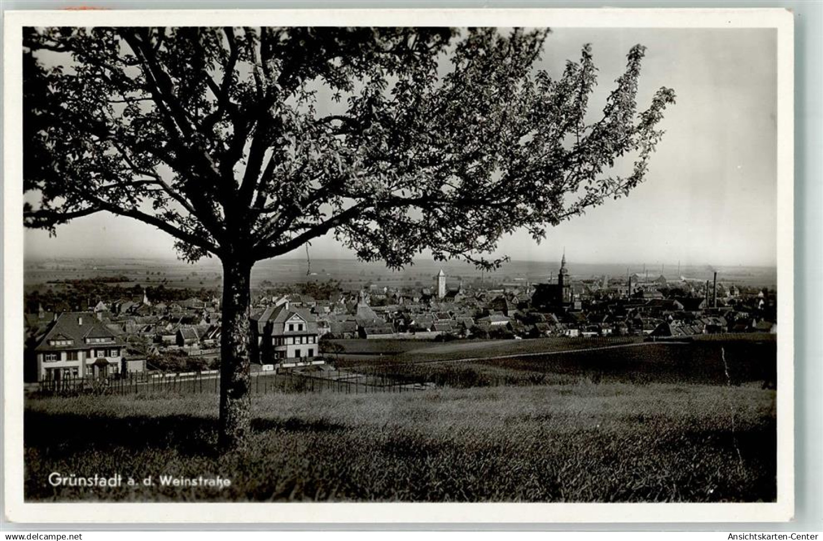 39542574 - Gruenstadt