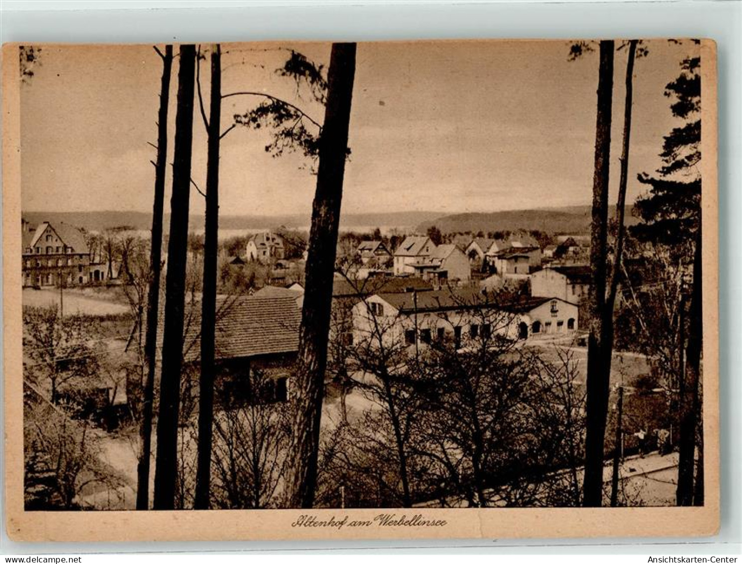 39542857 - Altenhof b Eberswalde