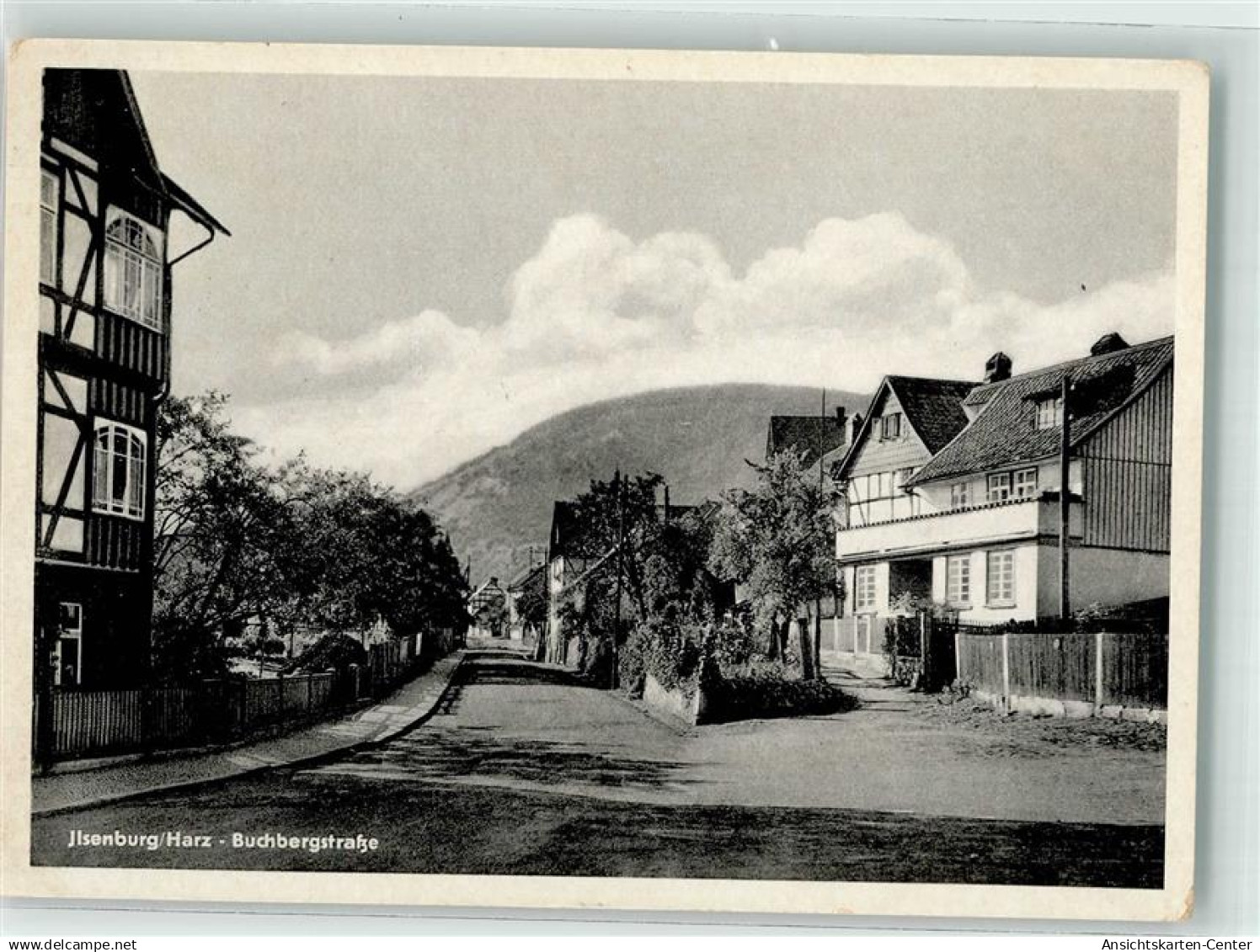 39544055 - Ilsenburg