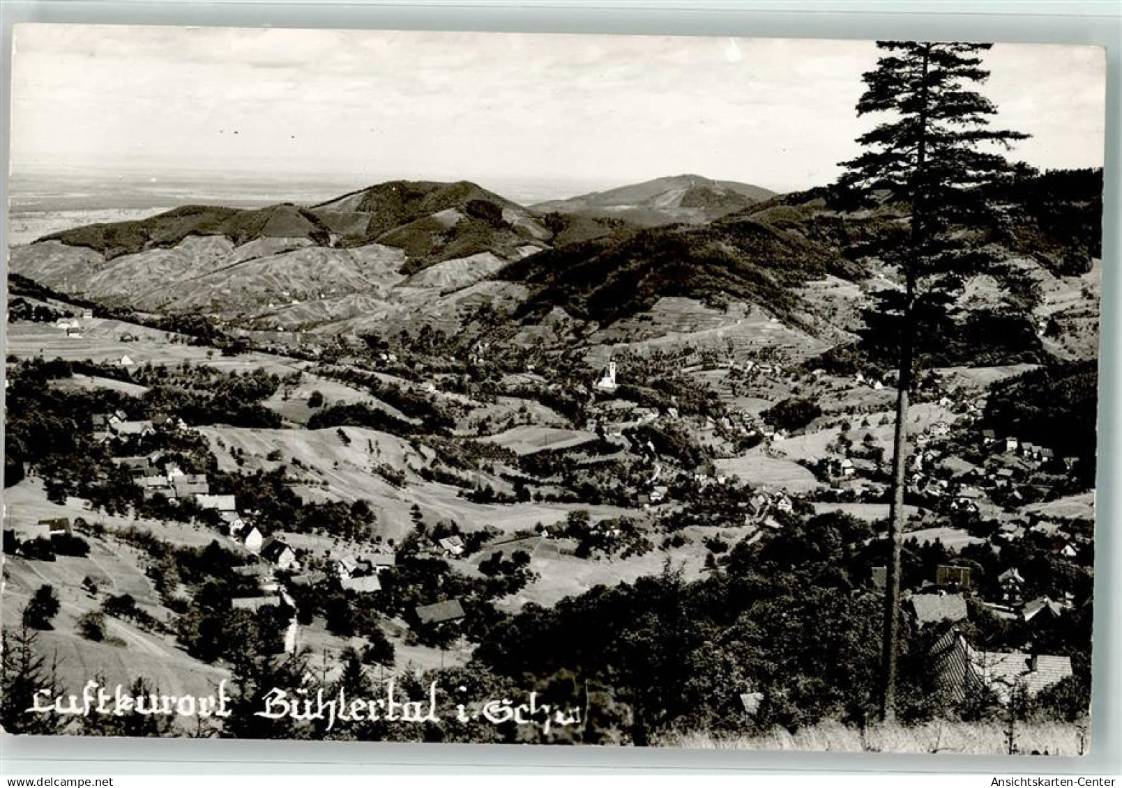 39544595 - Buehlertal