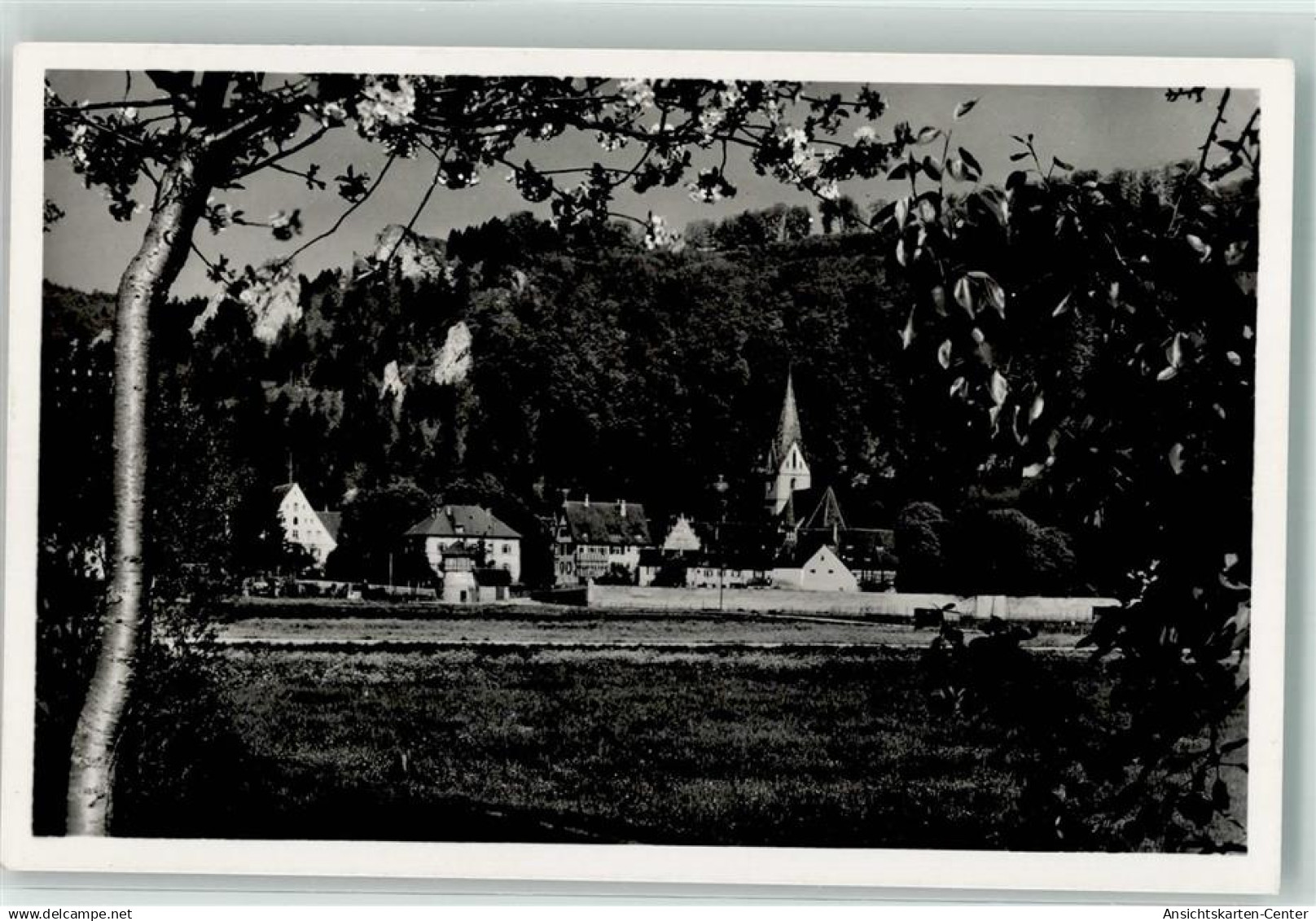 39546695 - Blaubeuren