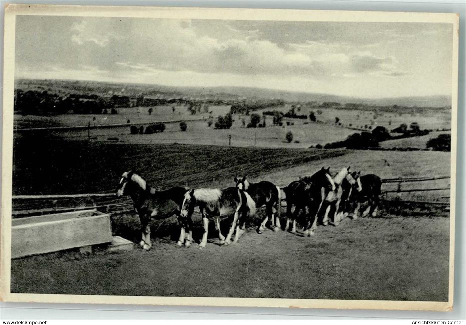 39548034 - Sinsheim , Elsenz