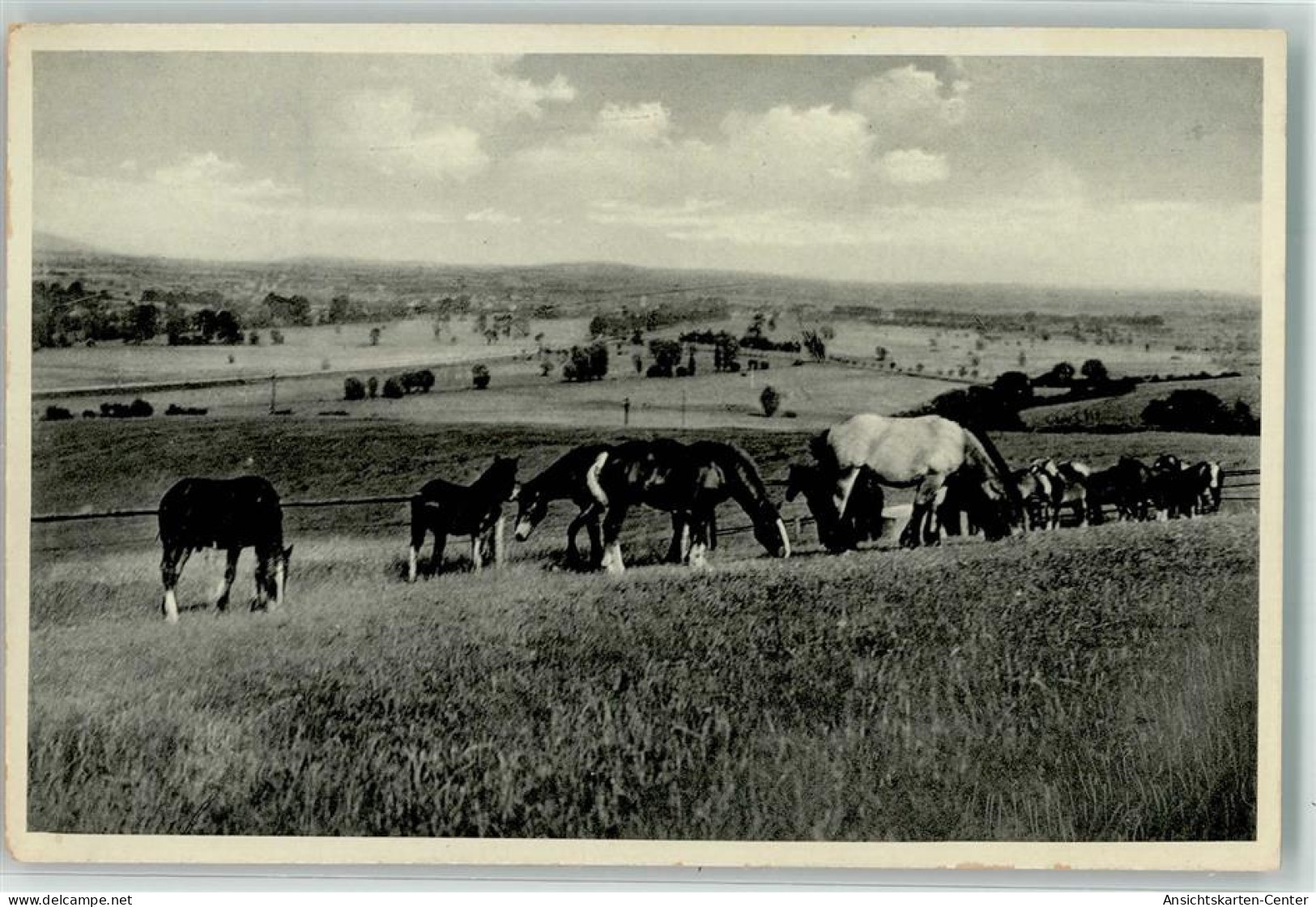 39548039 - Sinsheim , Elsenz