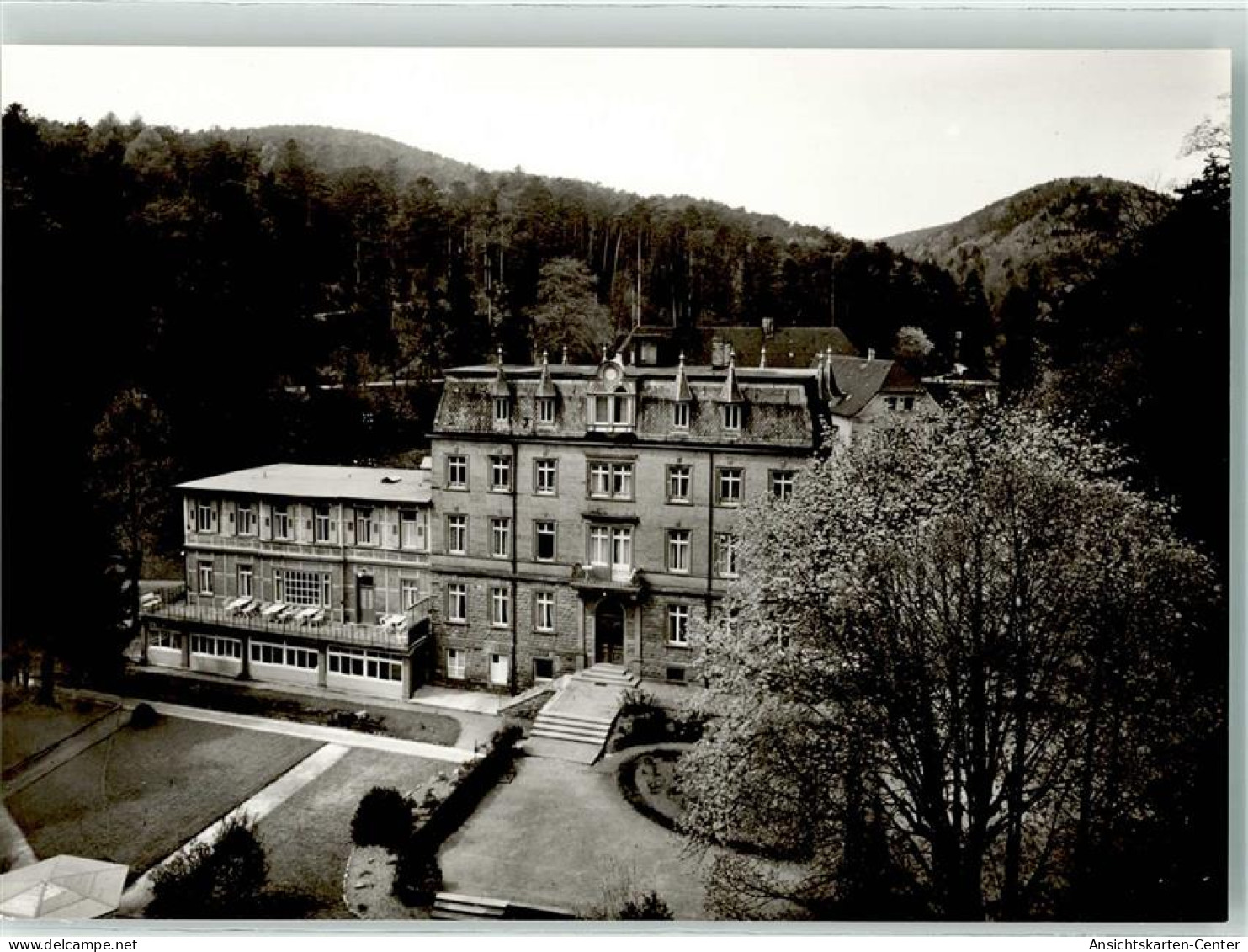 39548246 - Bad Bergzabern