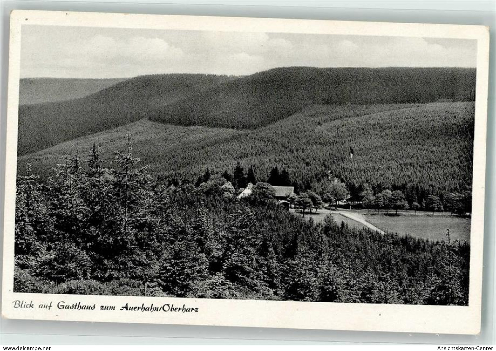 39550989 - Auerhahn , Oberharz