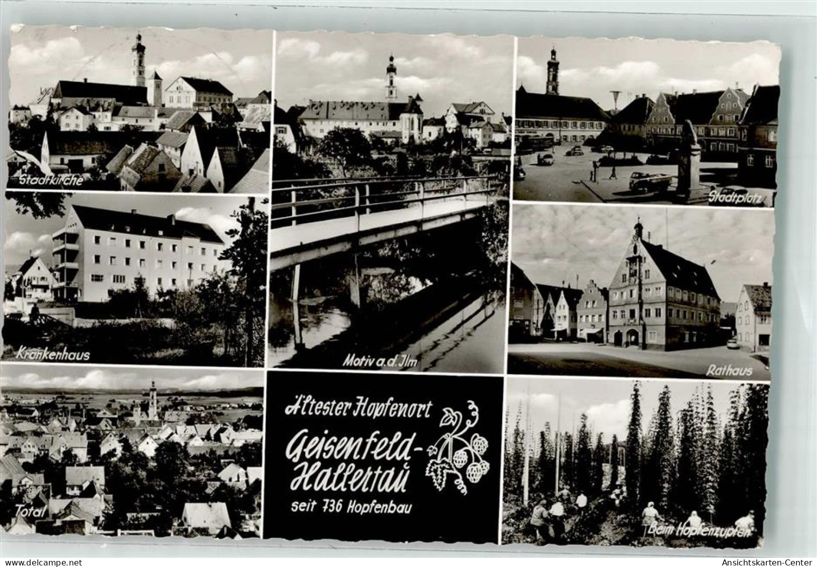 39551484 - Geisenfeld