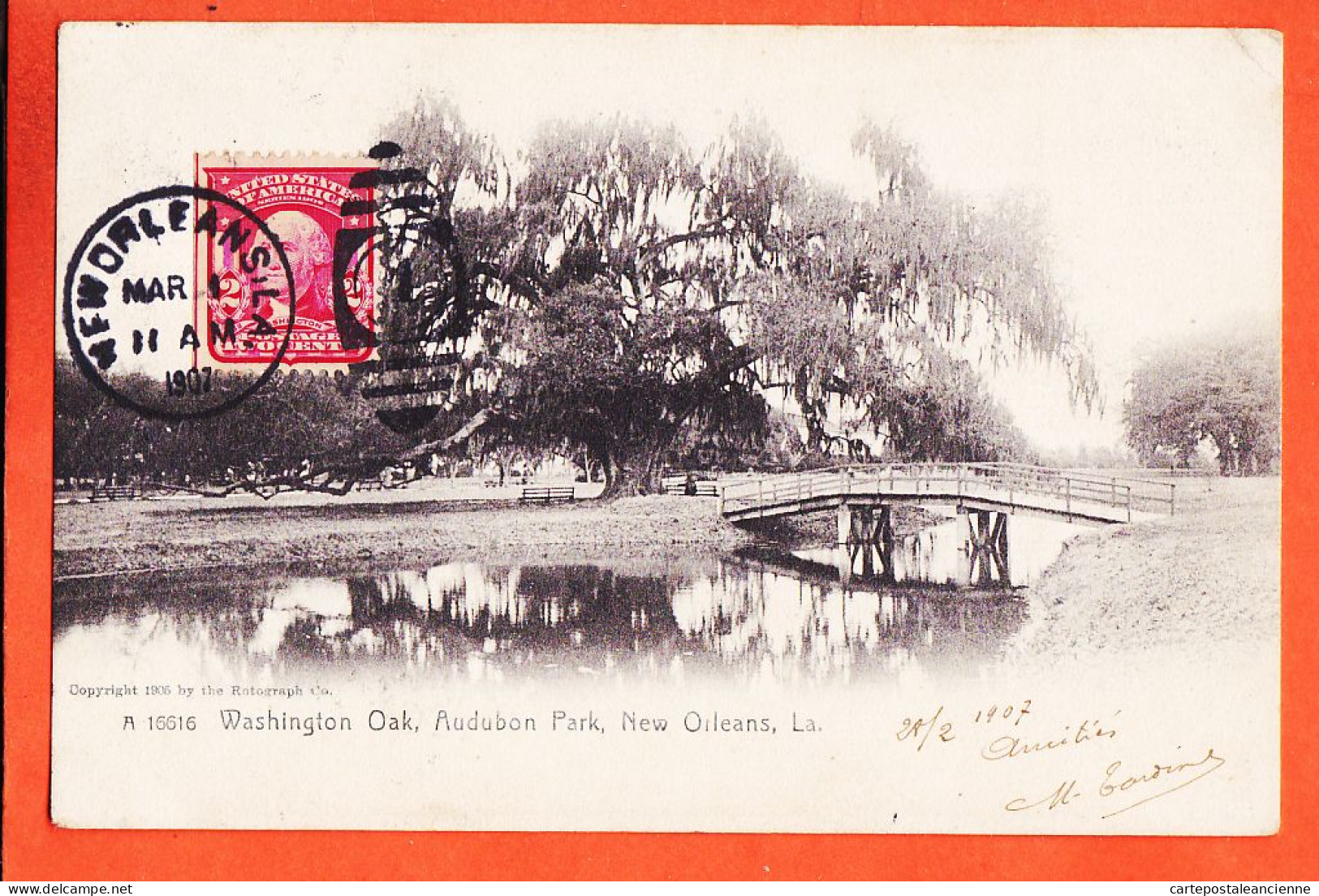 39553  NEW-ORLEANS Louisiana-LA ◉ WASHINGTON oak AUDUBON park 1907 à TESSENDIE Aix Provence (•◡•) ROTOGRAPH A-16616