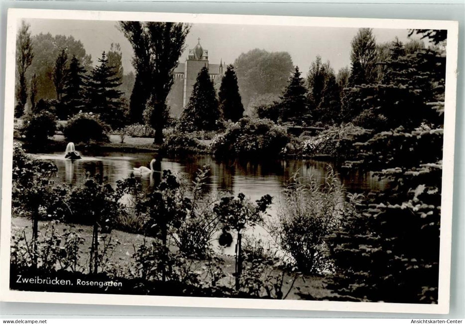 39554489 - Zweibruecken , Pfalz