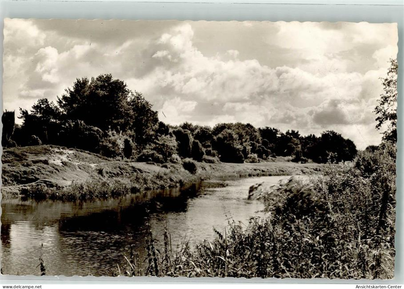 39556510 - Haseluenne