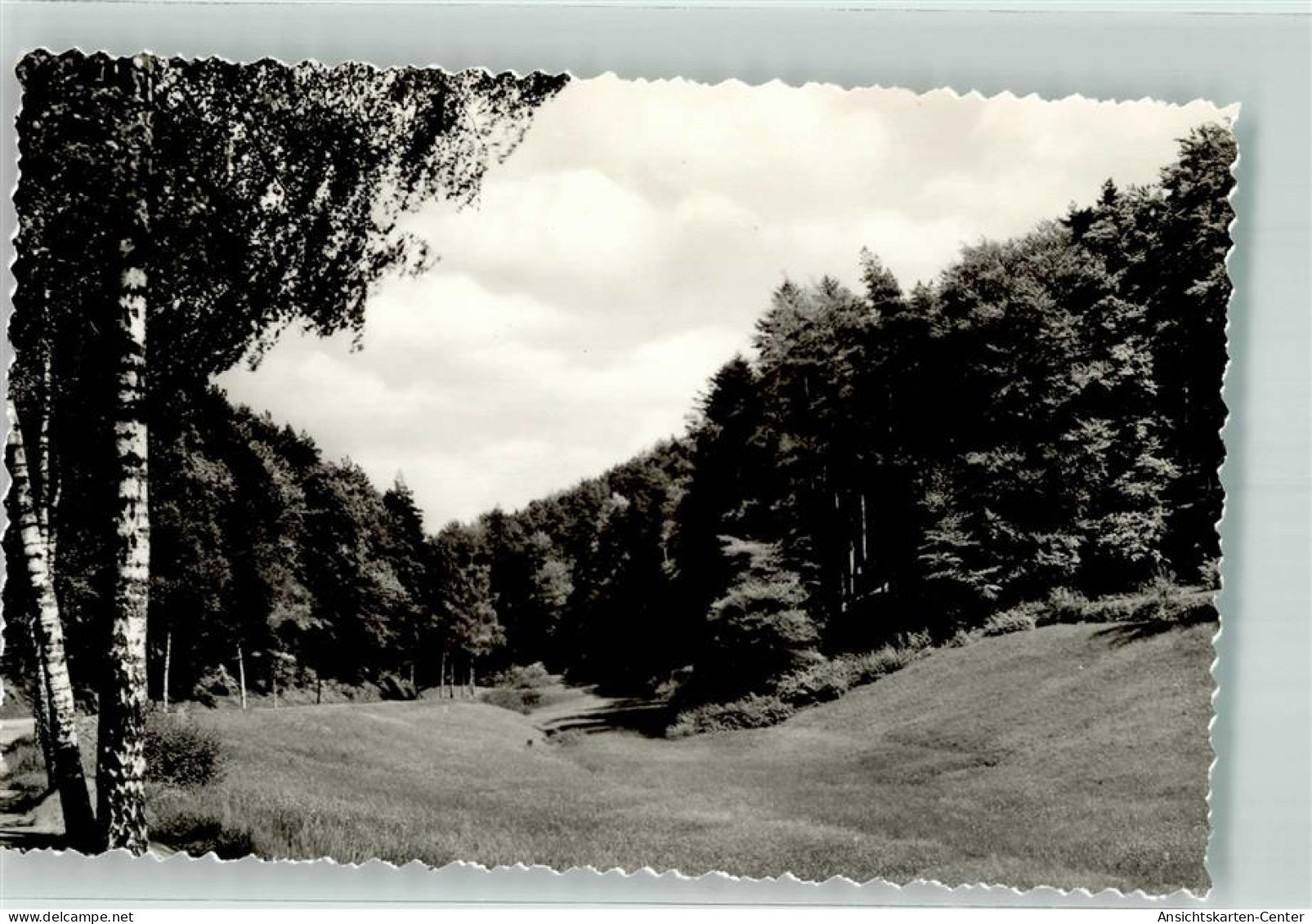 39560407 - Bad Bergzabern