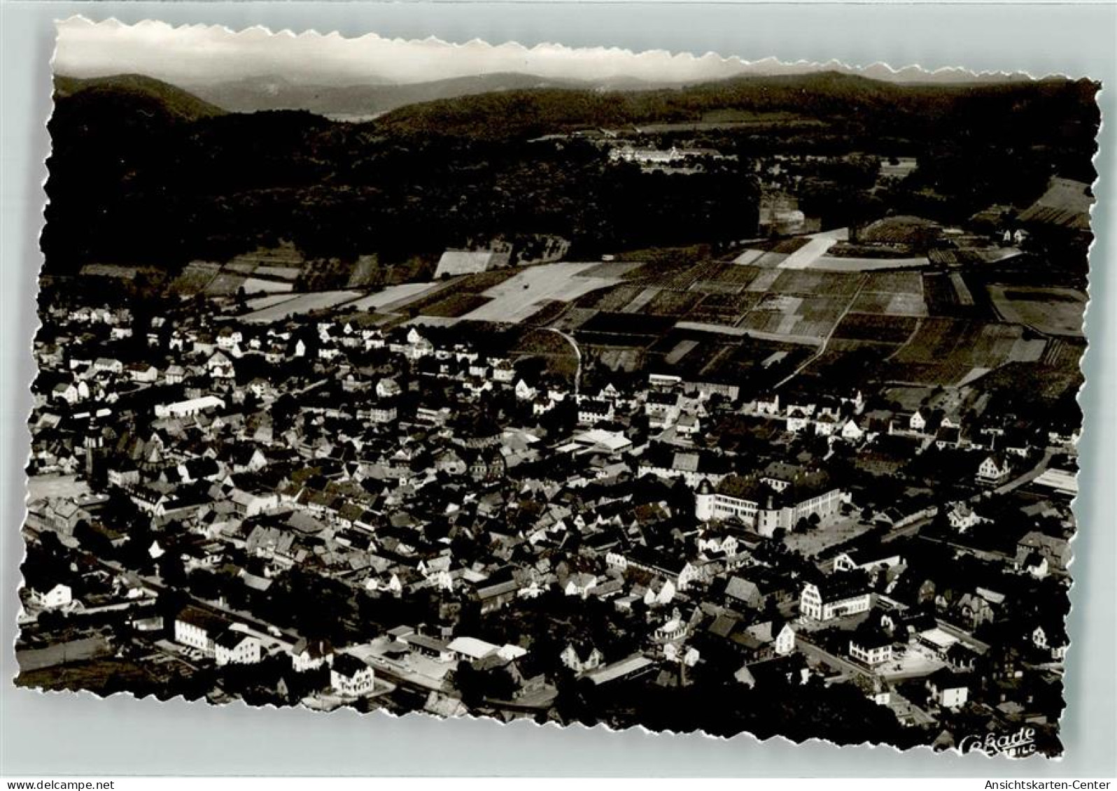 39560459 - Bad Bergzabern