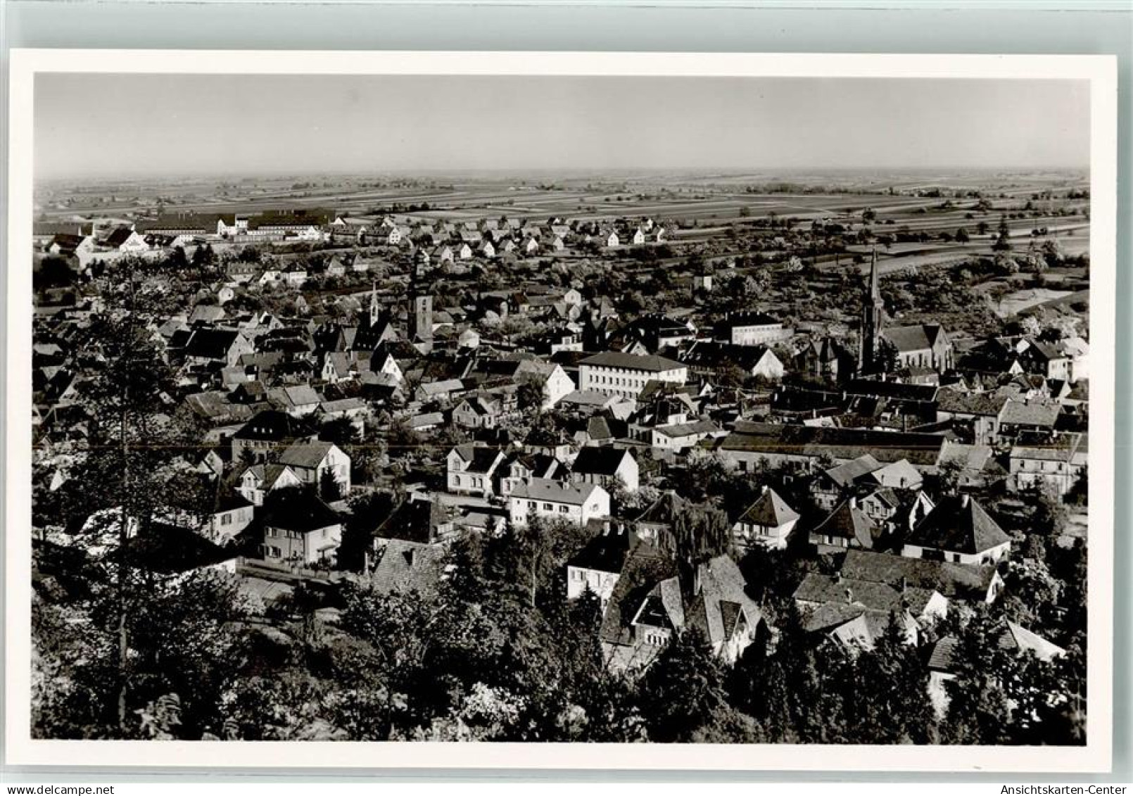 39560525 - Bad Bergzabern
