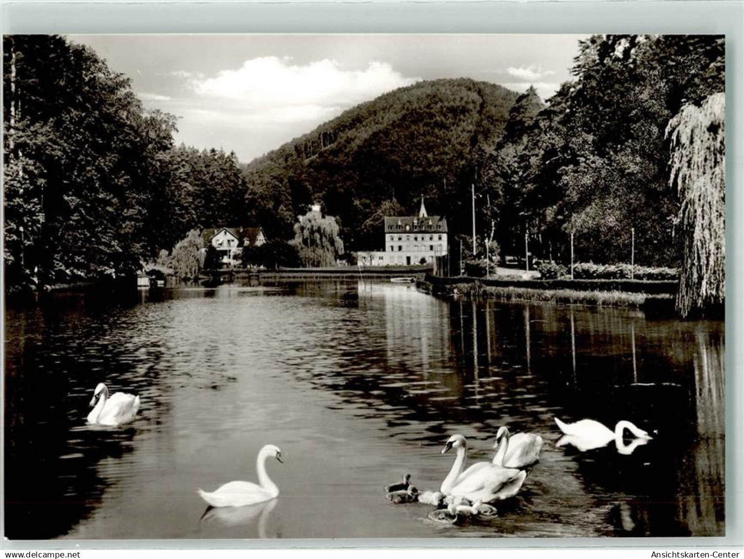39560807 - Bad Bergzabern