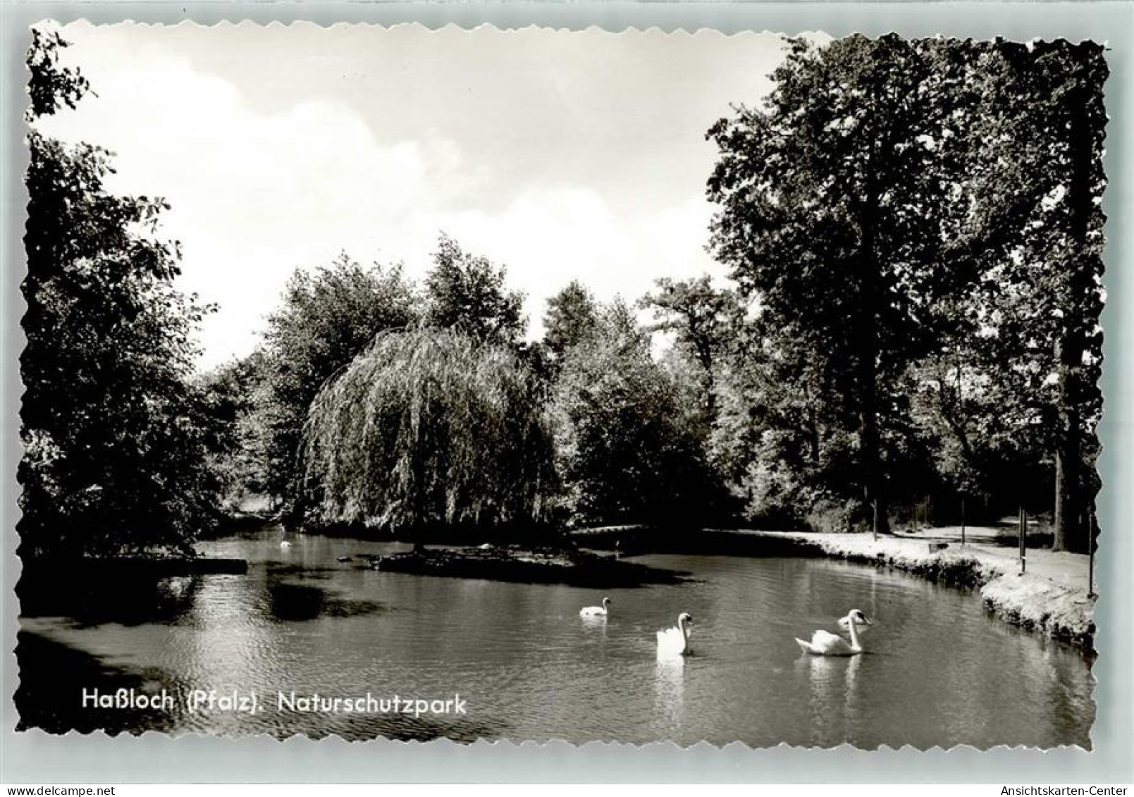 39562077 - Hassloch , Pfalz