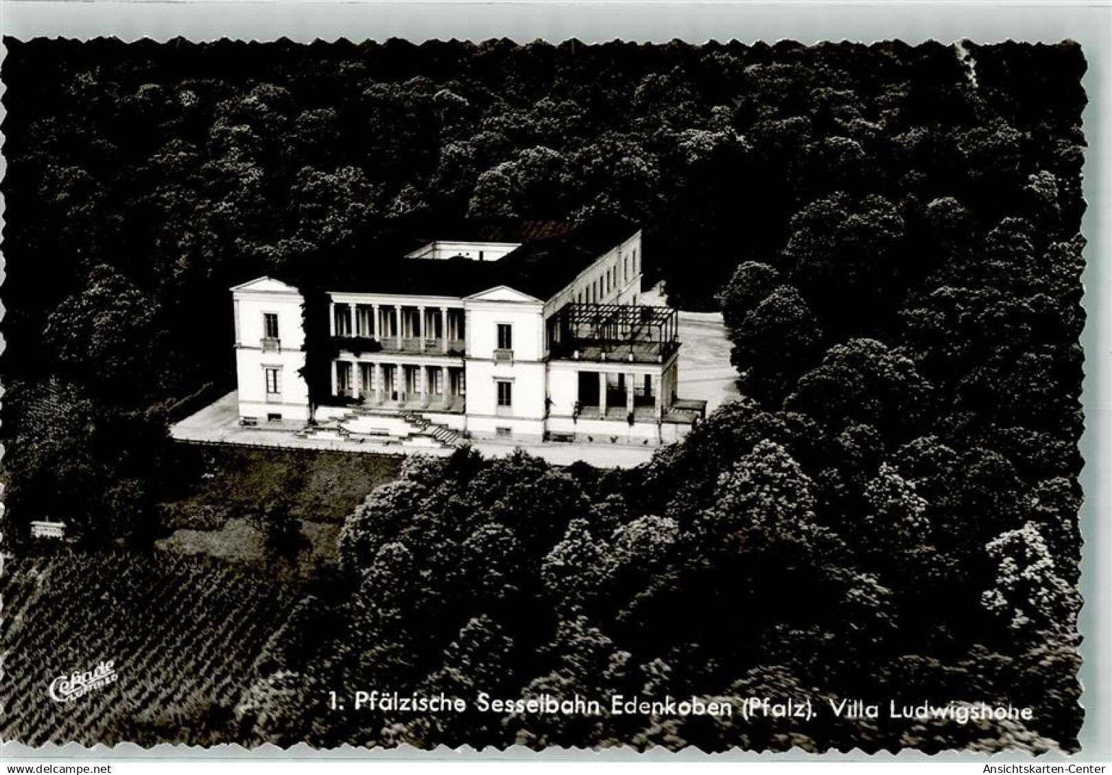 39562315 - Edenkoben