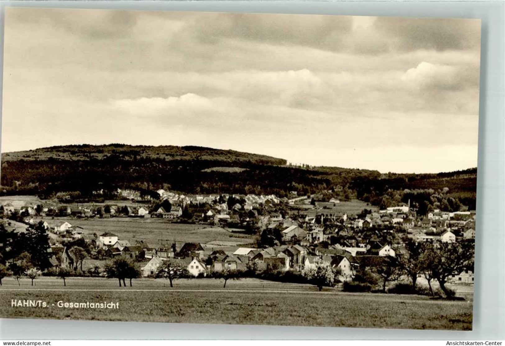 39564086 - Hahn , Taunus