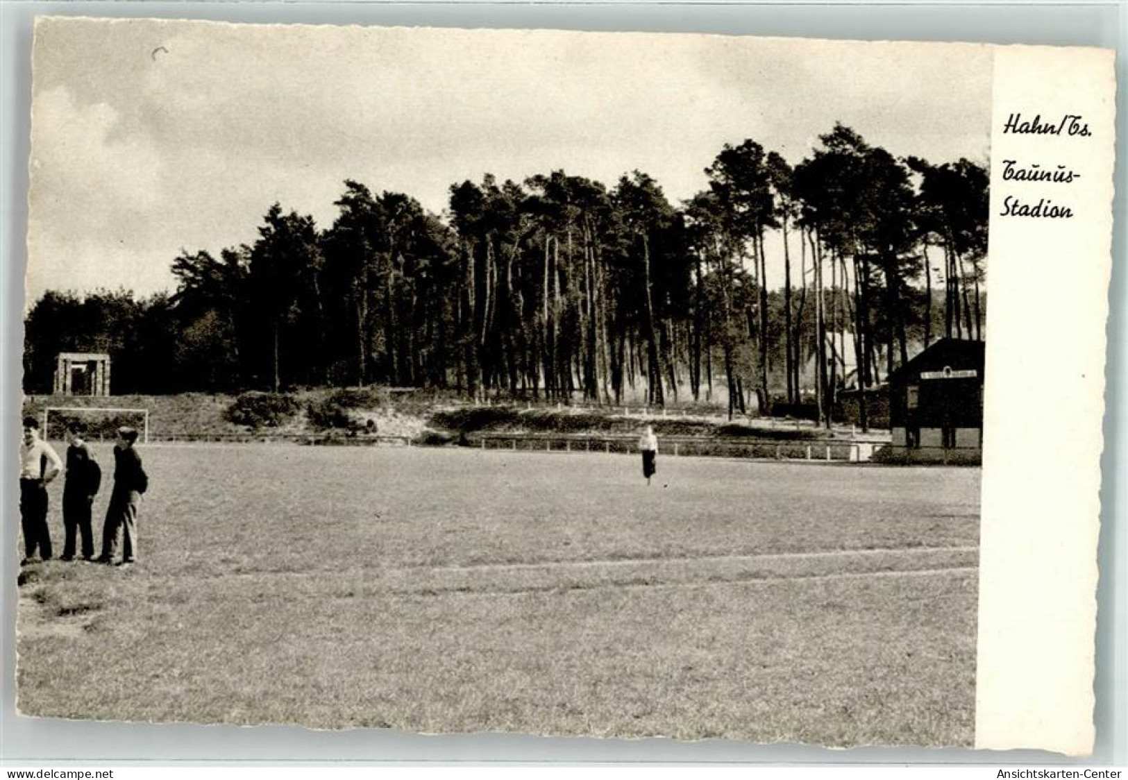 39564090 - Hahn , Taunus