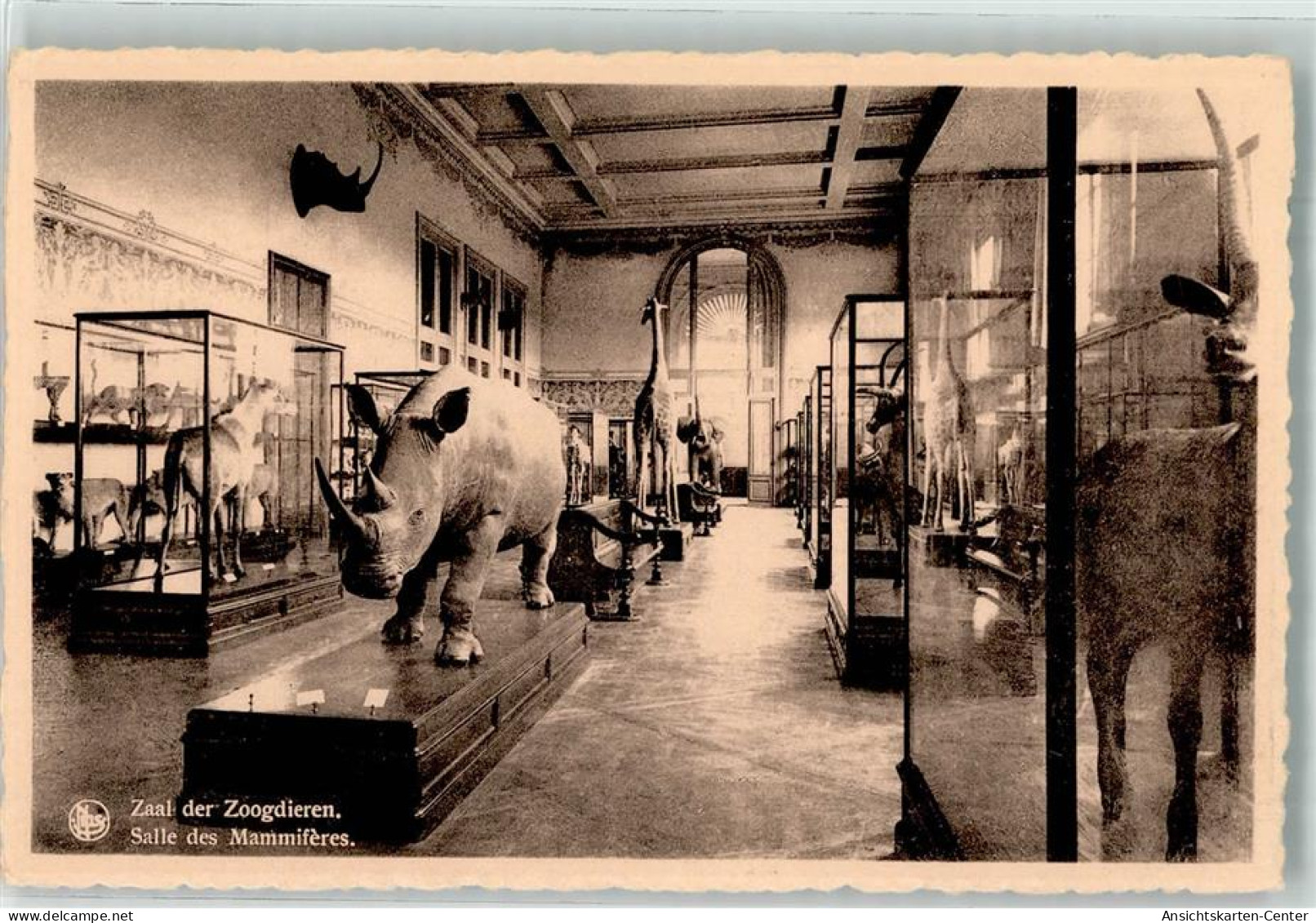 39572810 - Tervuren Tervueren