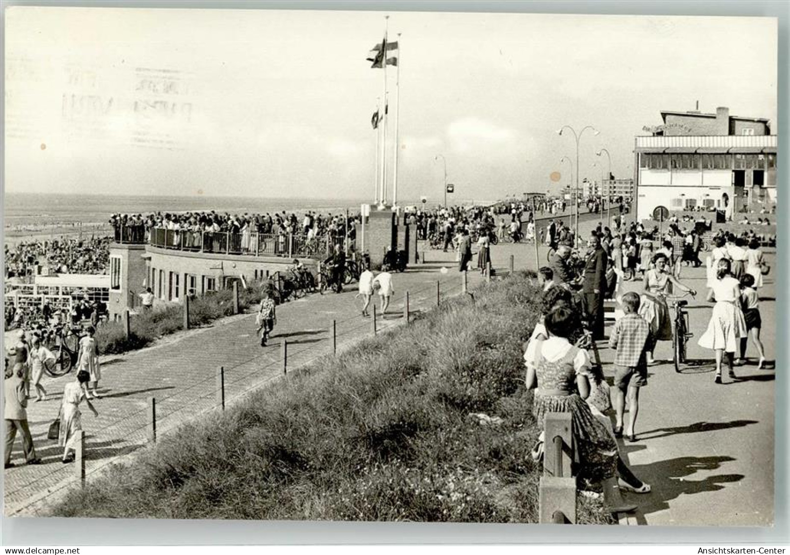 39576615 - Zandvoort