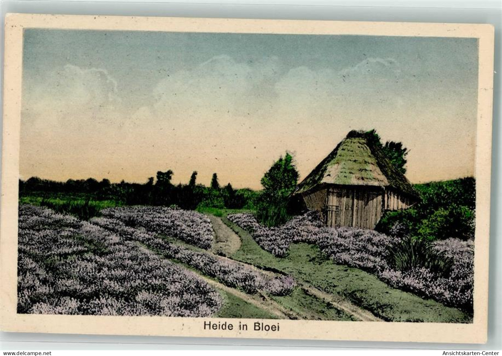 39576618 - Apeldoorn