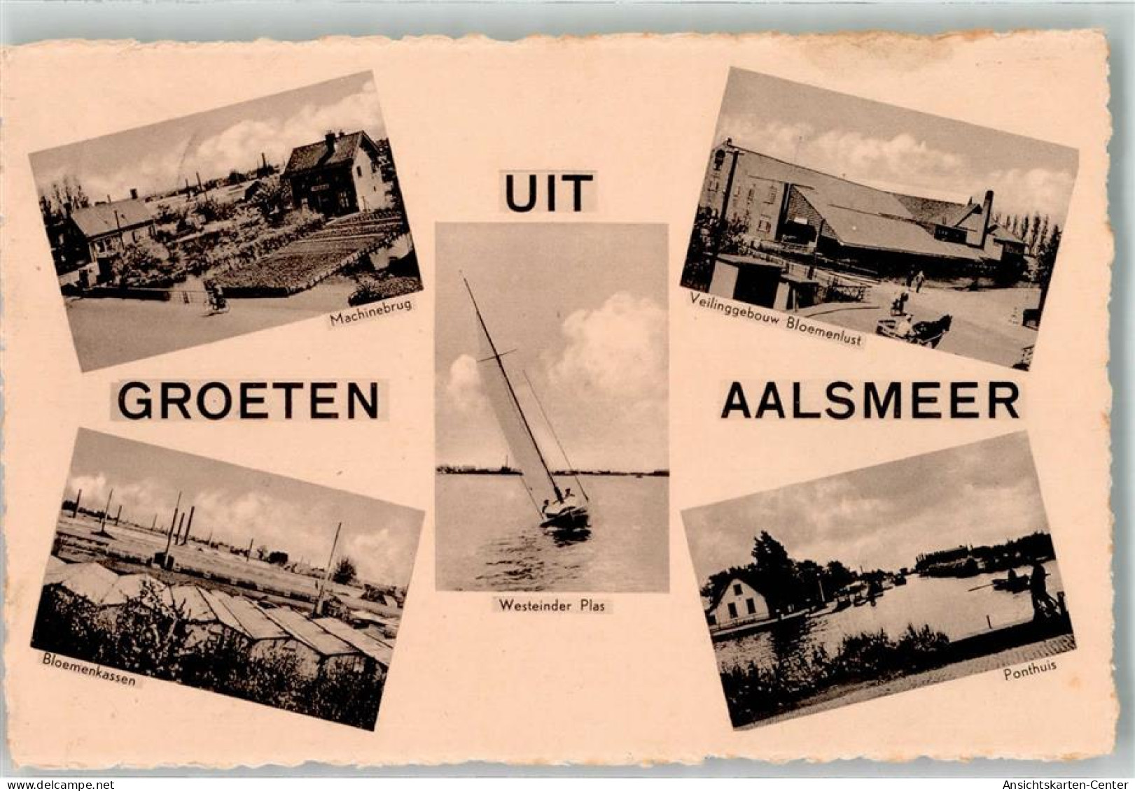 39576948 - Aalsmeer