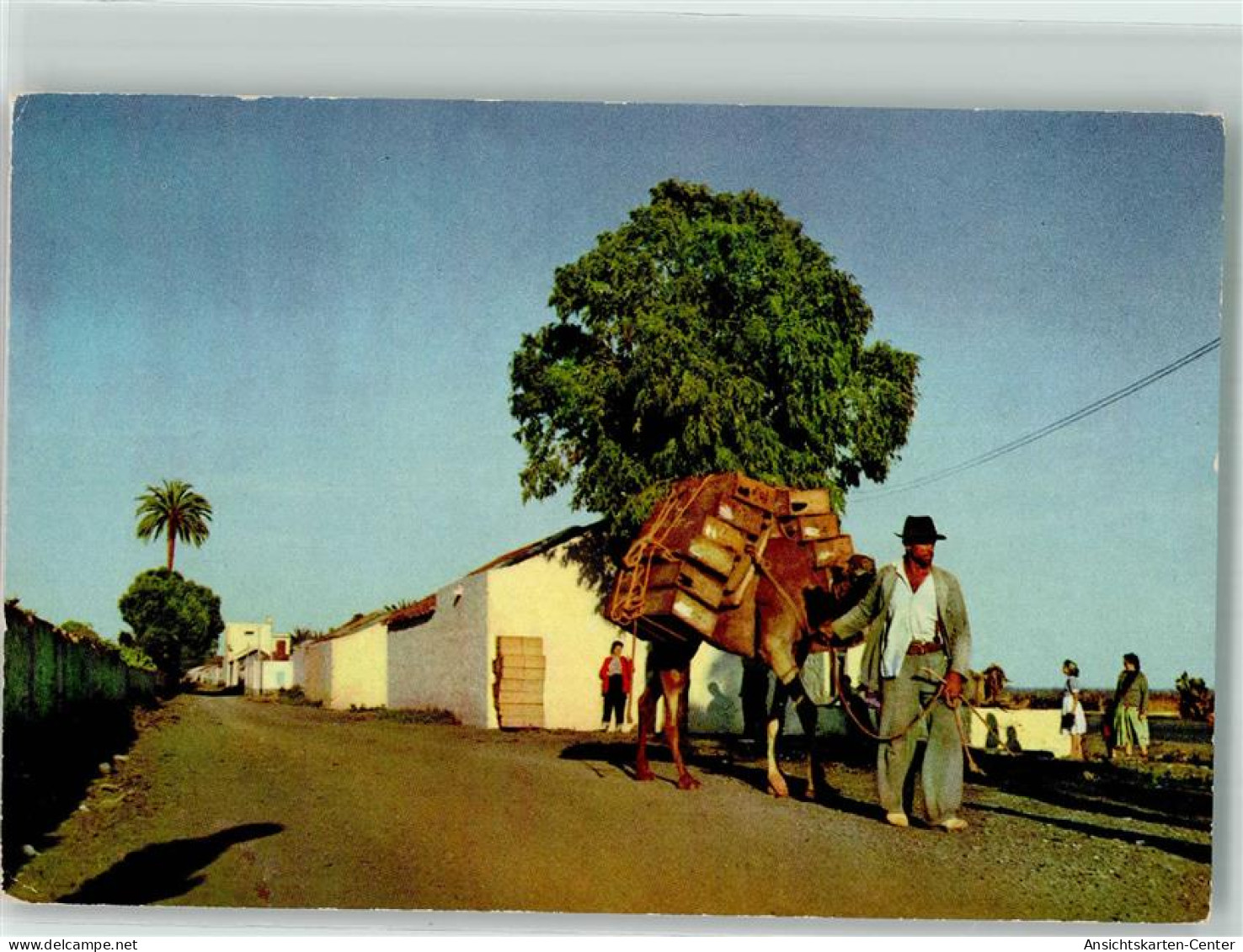 39578059 - Las Palmas de Gran Canaria