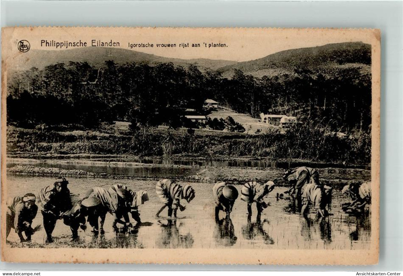 39582779 - Philippijnsche Eilanden Igorotsche vrouwen rijst aan t planten Reis Arbeiter