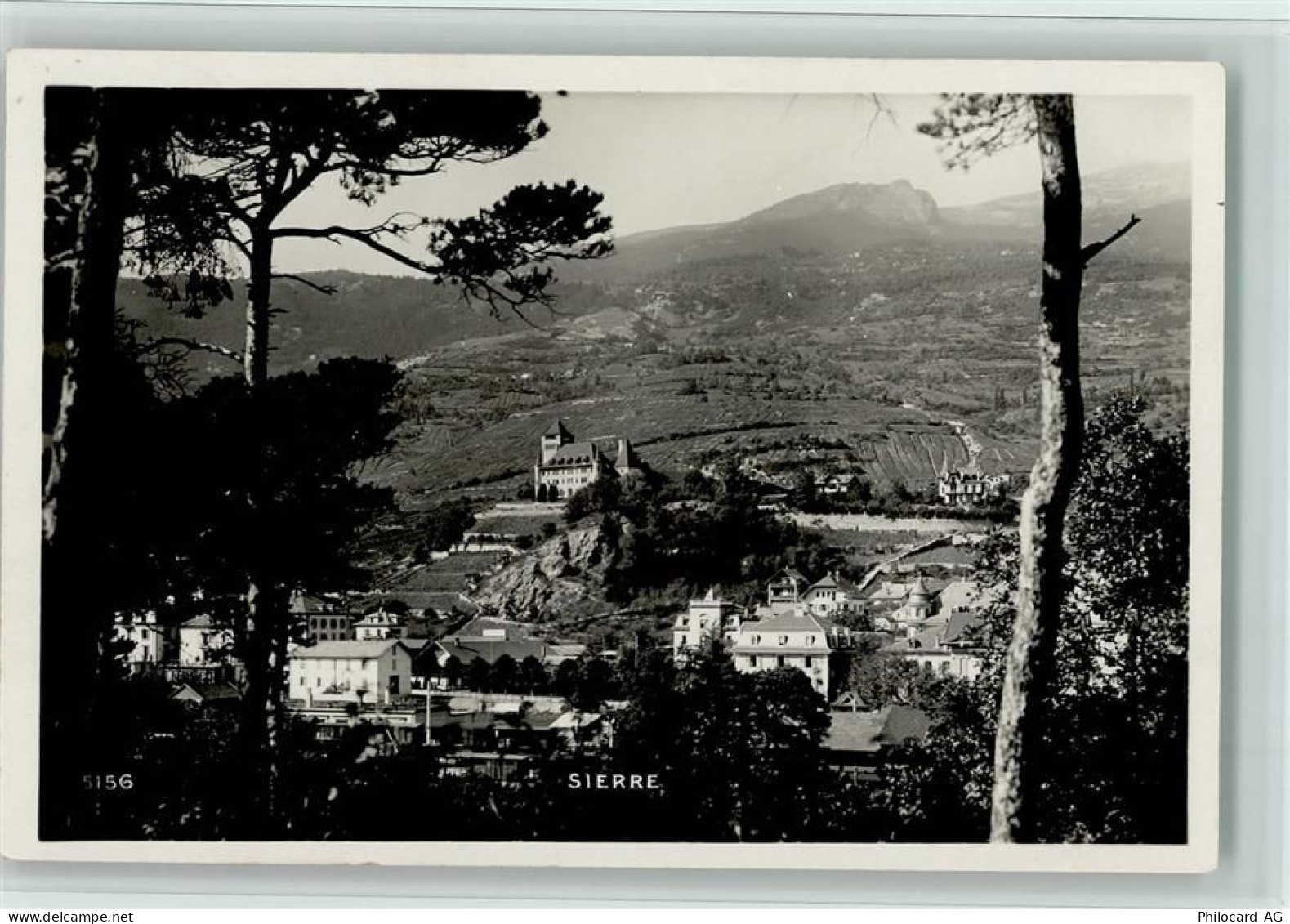 3960 Sierre - Bäume - 11061362