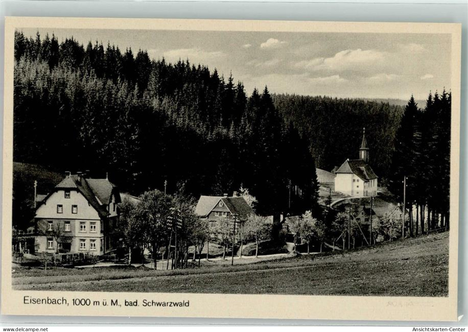 39605461 - Eisenbach Hochschwarzwald