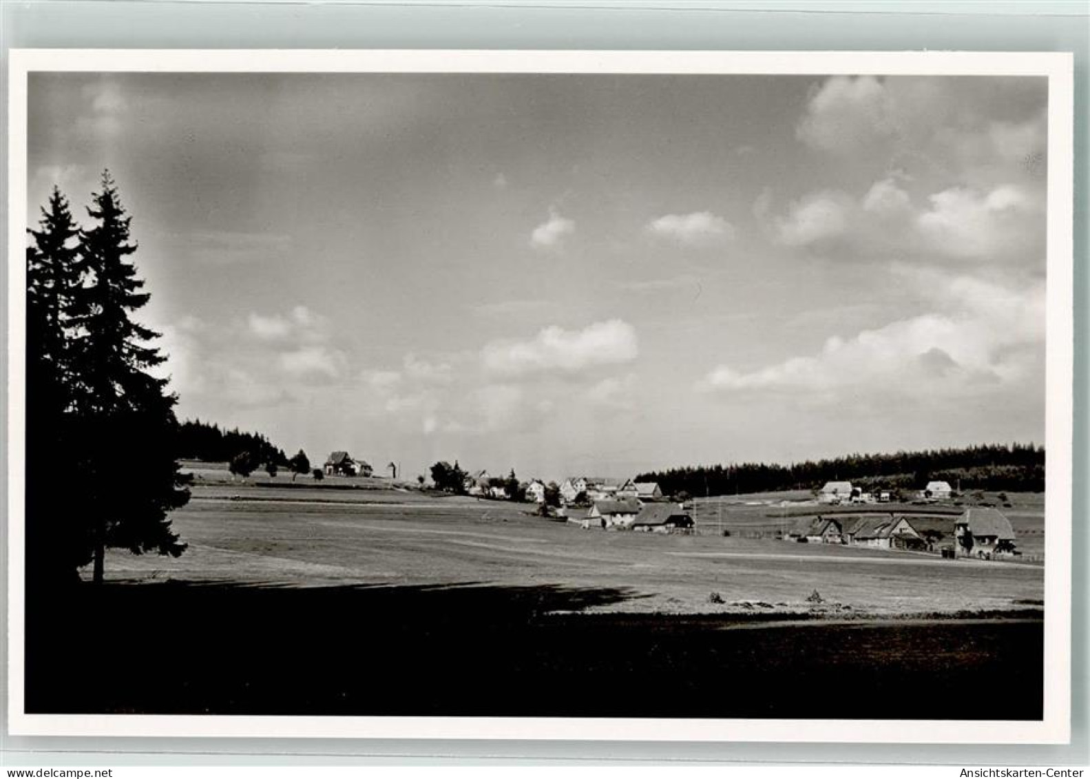 39605469 - Eisenbach Hochschwarzwald