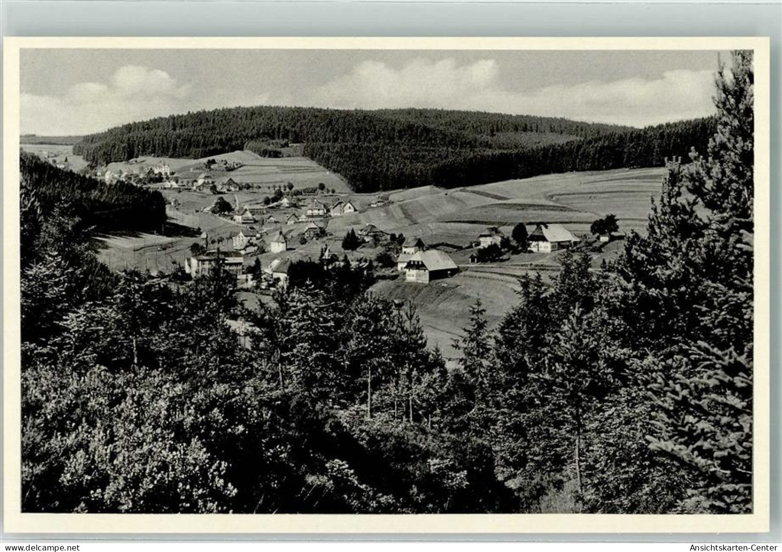 39605470 - Eisenbach Hochschwarzwald