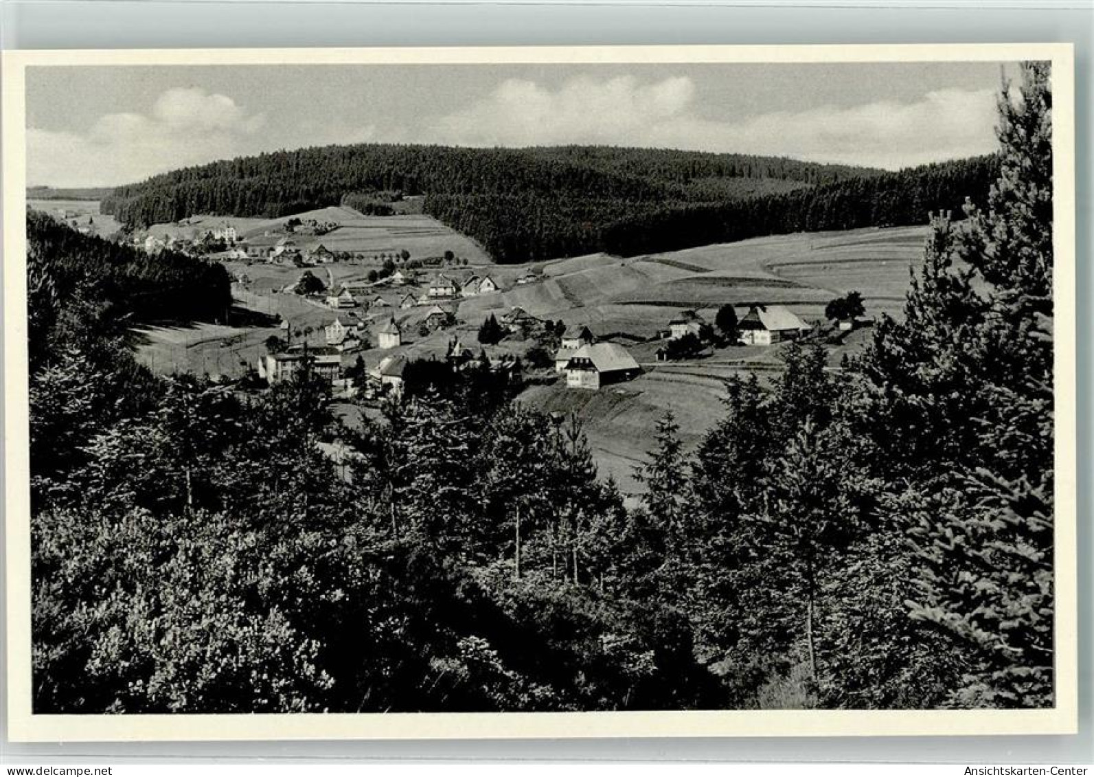 39605472 - Eisenbach Hochschwarzwald