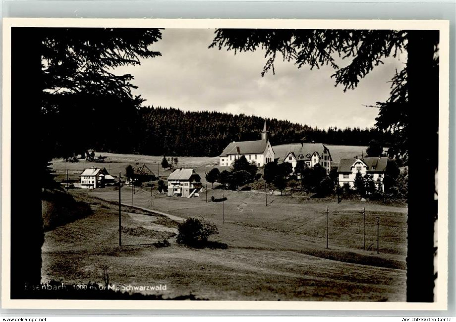 39605479 - Eisenbach Hochschwarzwald