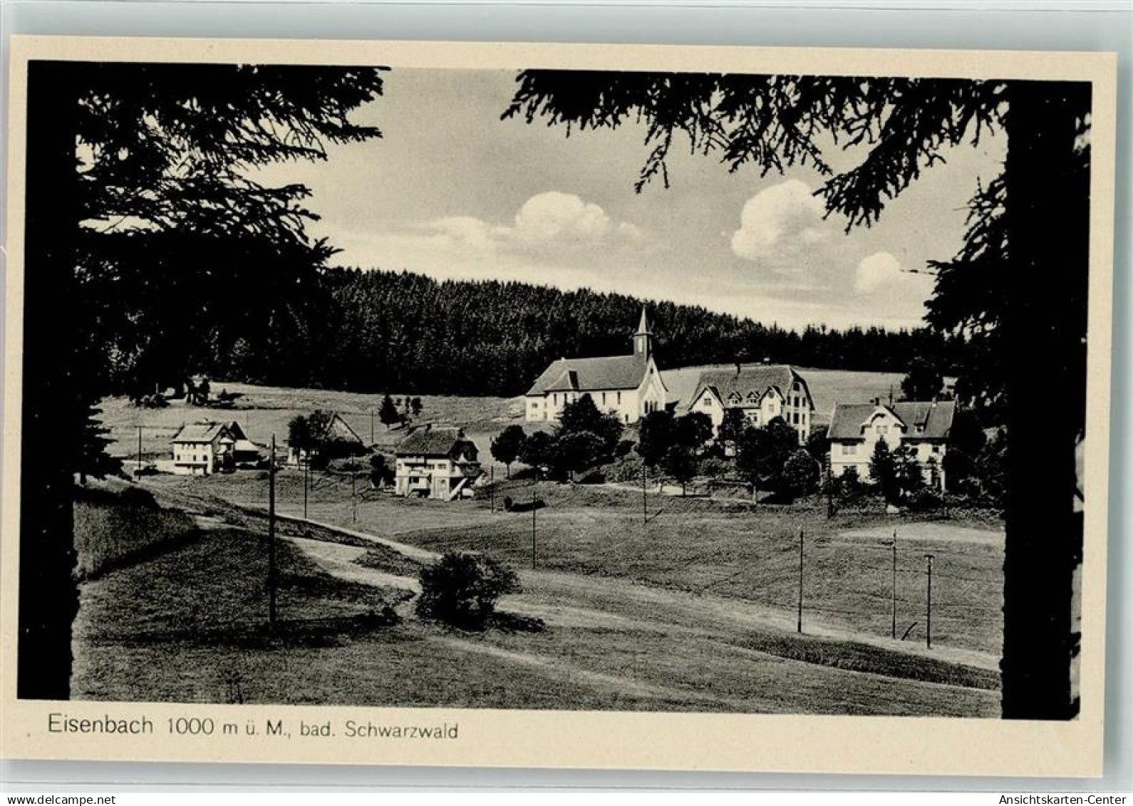 39605484 - Eisenbach Hochschwarzwald