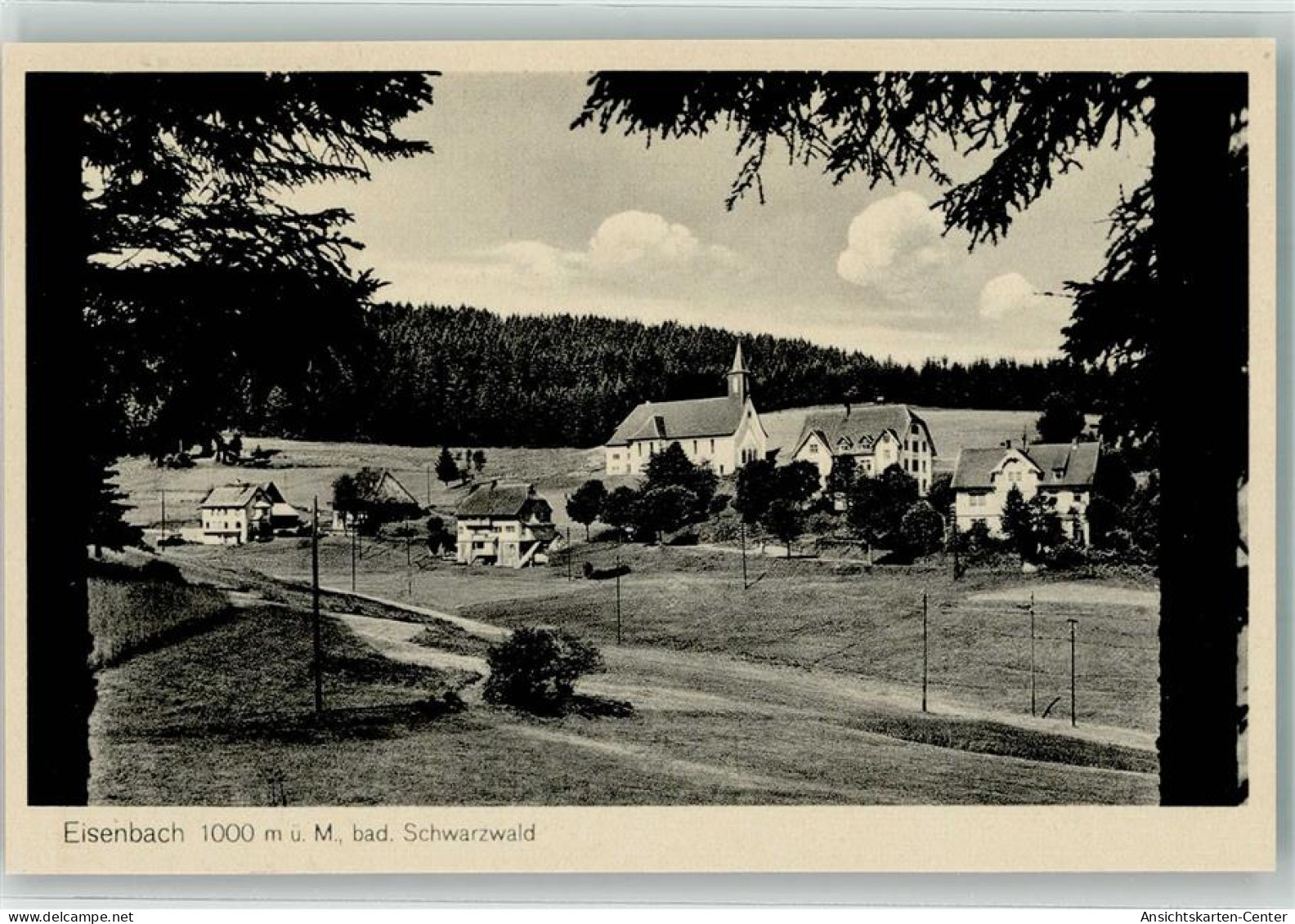 39605486 - Eisenbach Hochschwarzwald