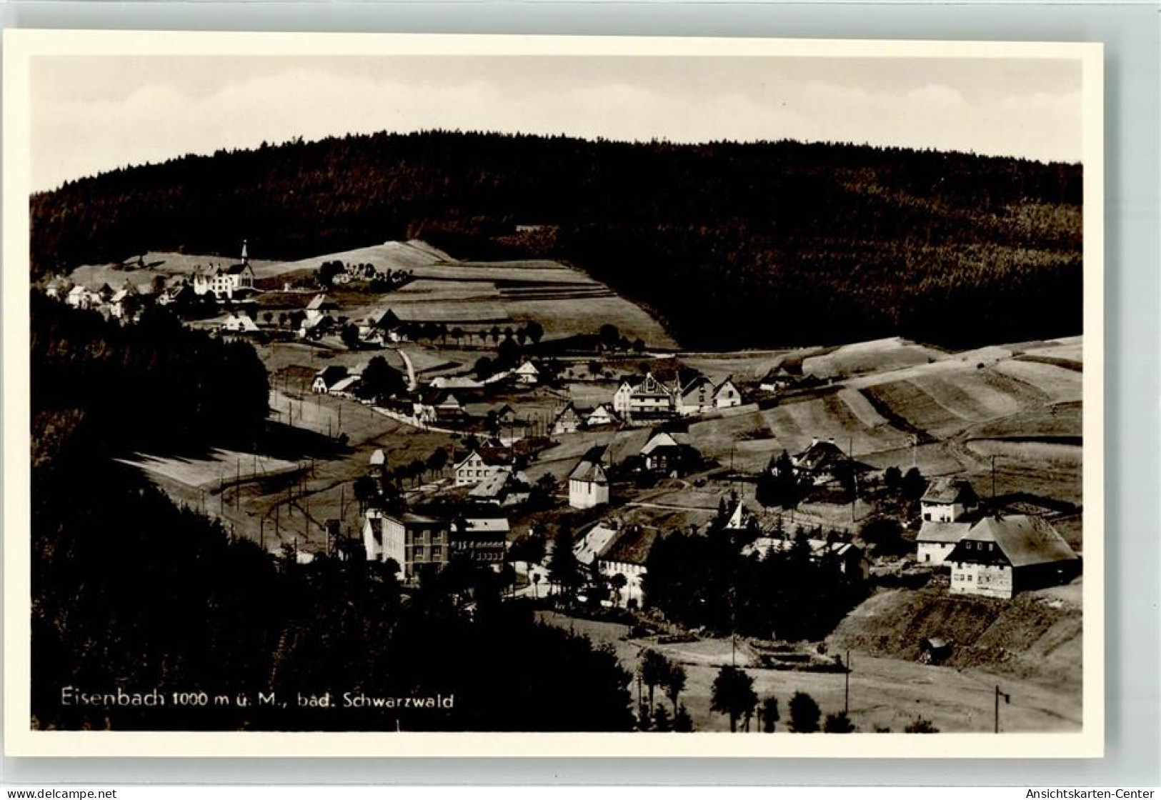 39605487 - Eisenbach Hochschwarzwald