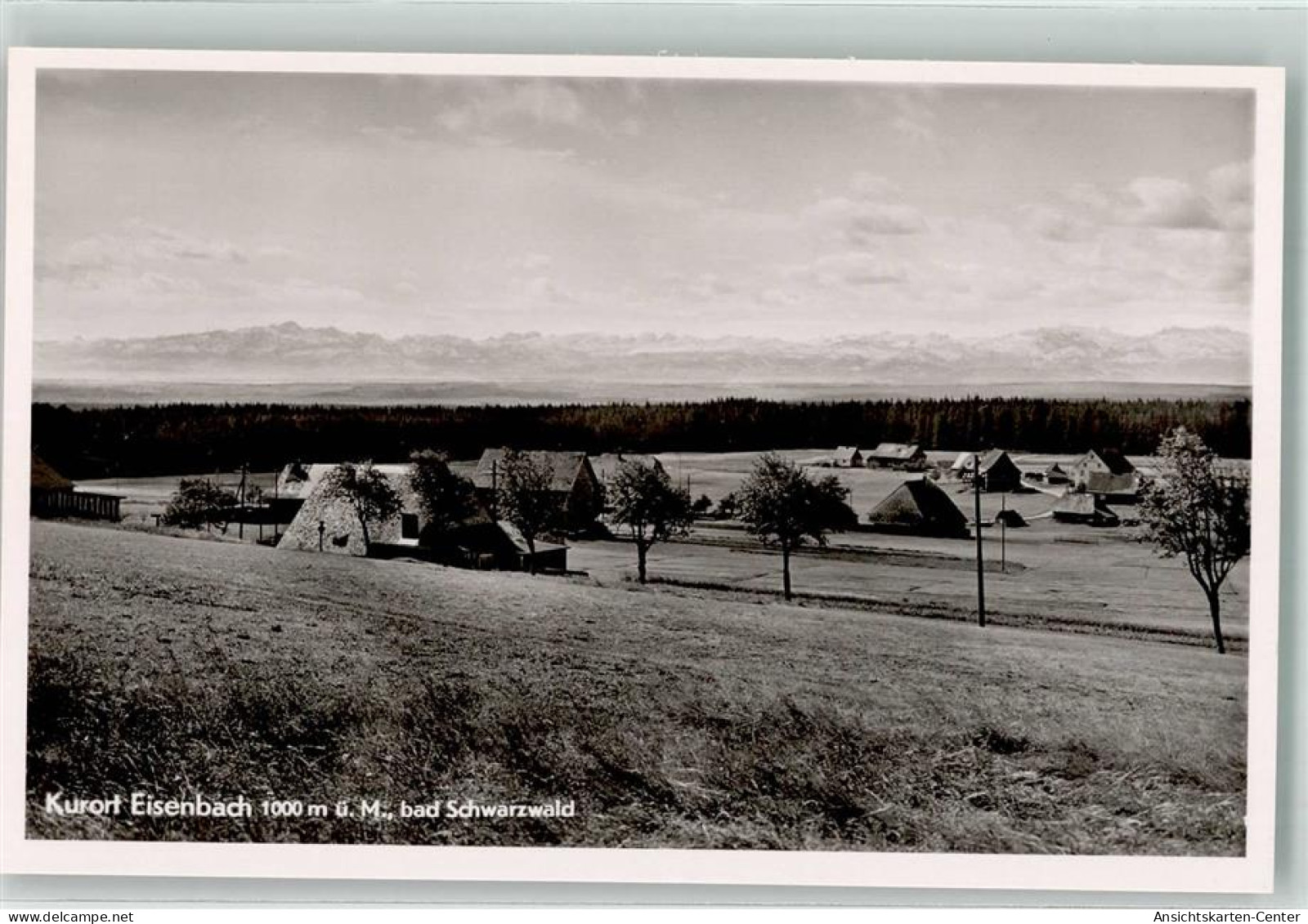 39605830 - Eisenbach Hochschwarzwald