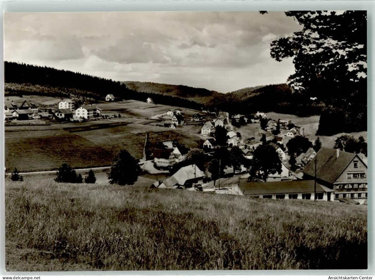 39606120 - Eisenbach Hochschwarzwald