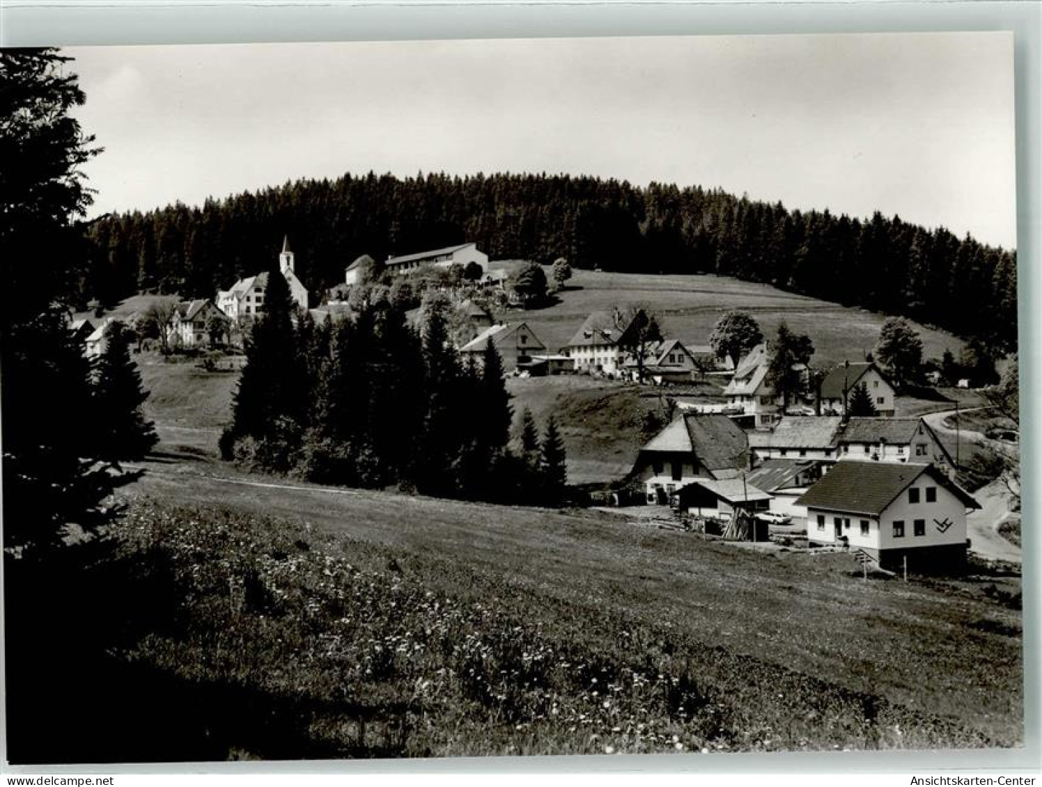 39606128 - Eisenbach Hochschwarzwald