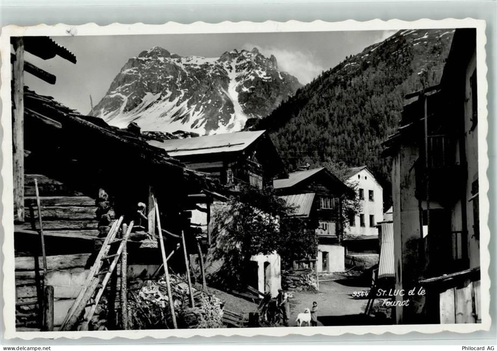 3961 St-Luc - et le Tounot - 10219042