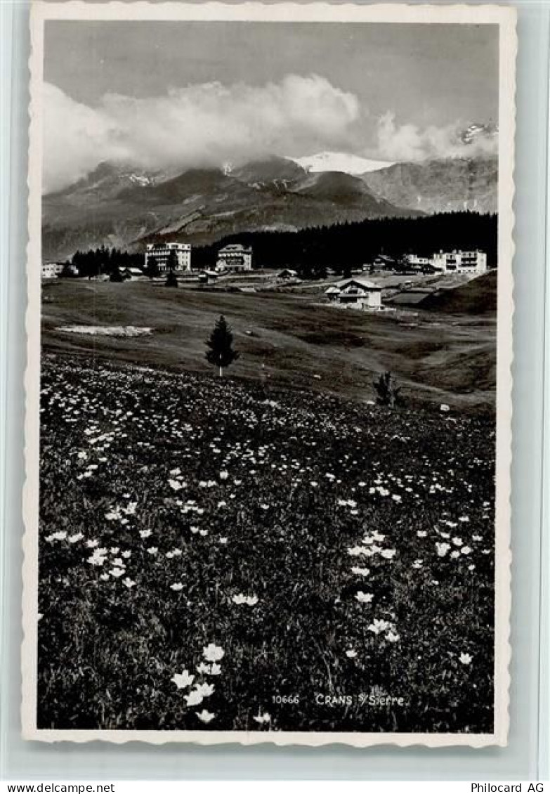 3963 Crans-sur-Sierre - blühende Wiese - 12114116